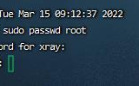 Ubuntu Server 20.04.x LTS修改root密码并设置SSH登陆