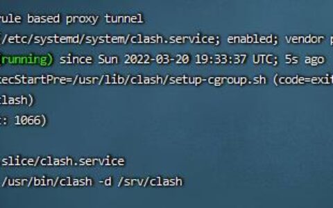 ubuntu20.04安装clash开启TUN模式